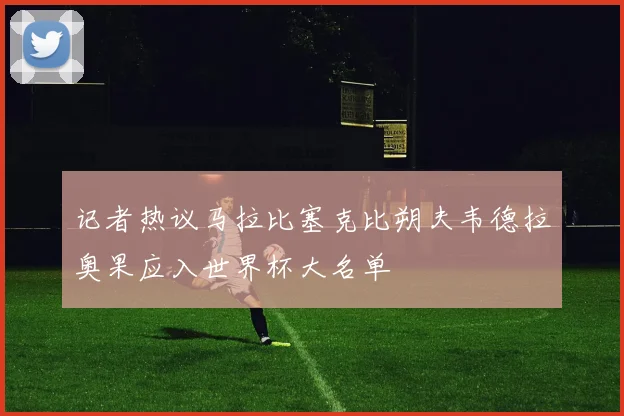 记者热议马拉比塞克比朔夫韦德拉奥果应入世界杯大名单